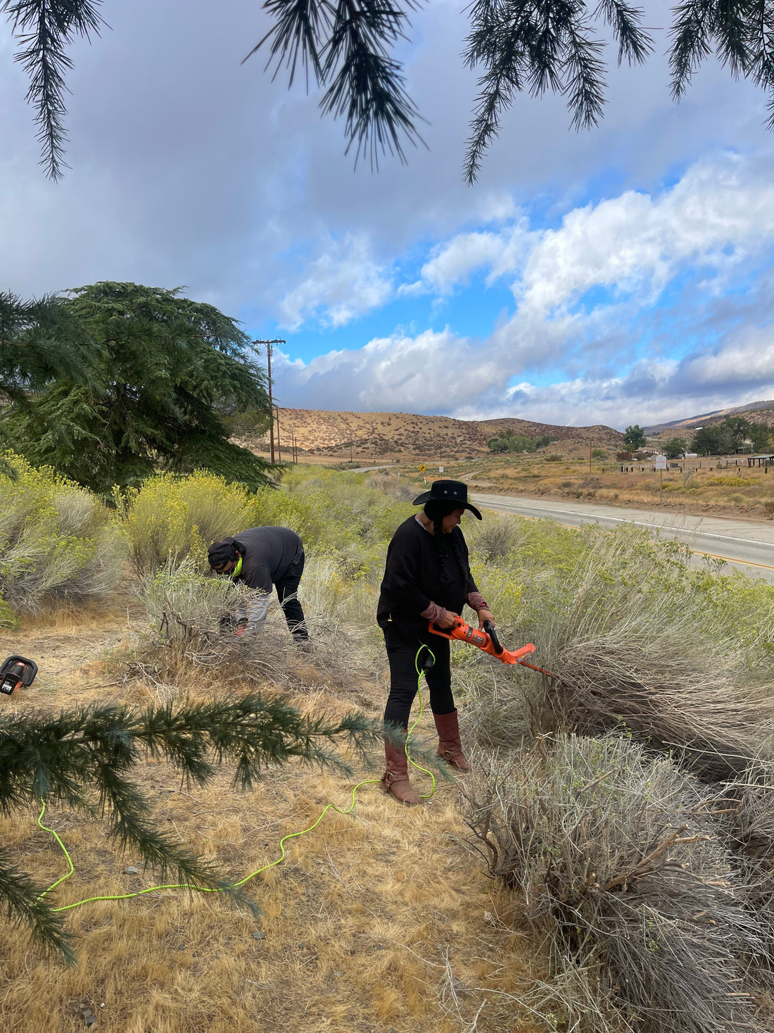 From Dream to Reality: Launching the Golden Mirage Ranch Store