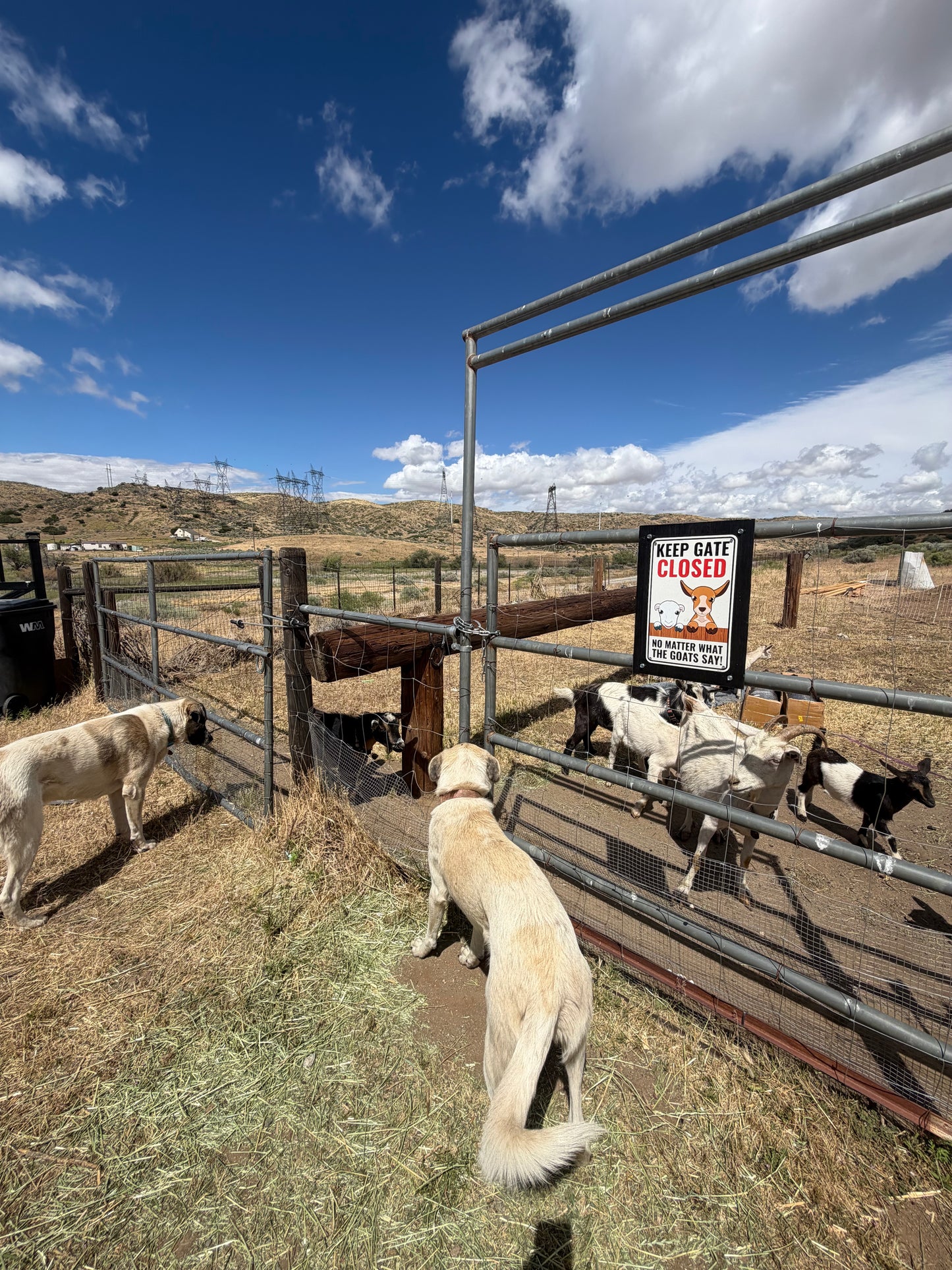 Support the Ranch